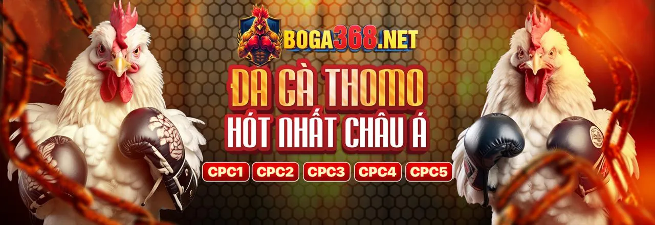 Cộng đồng đối tác hh88 bet